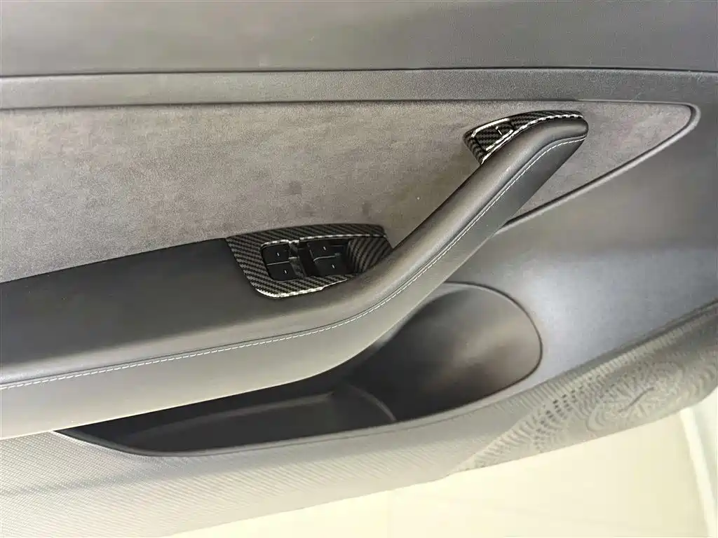 Model 3 2019 Standard Range Plus RWD