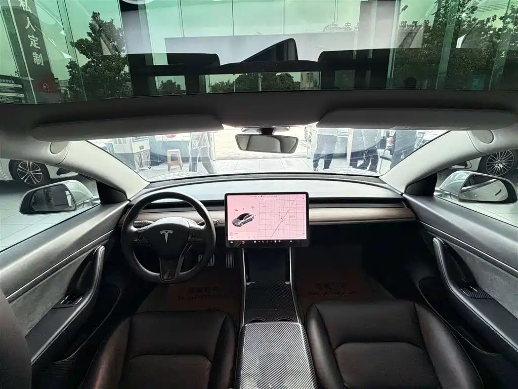 Model 3 2019 Standard Range Plus RWD