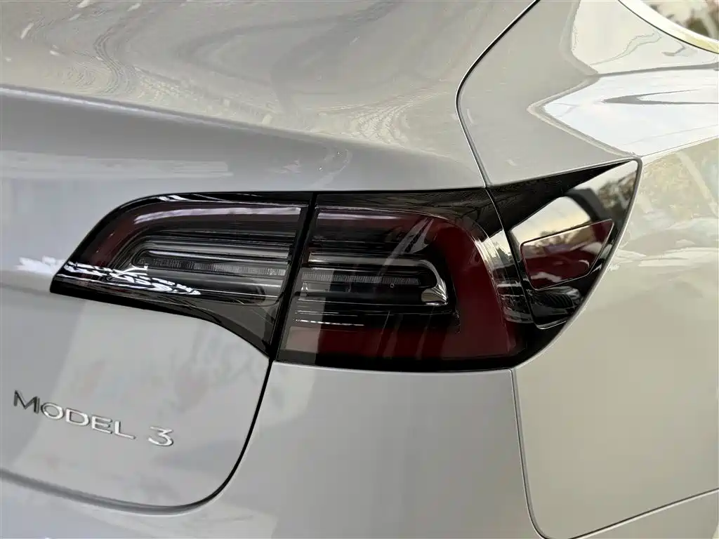 Model 3 2019 Standard Range Plus RWD