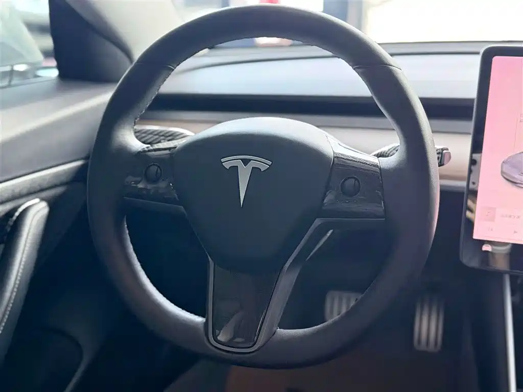 Model 3 2019 Standard Range Plus RWD