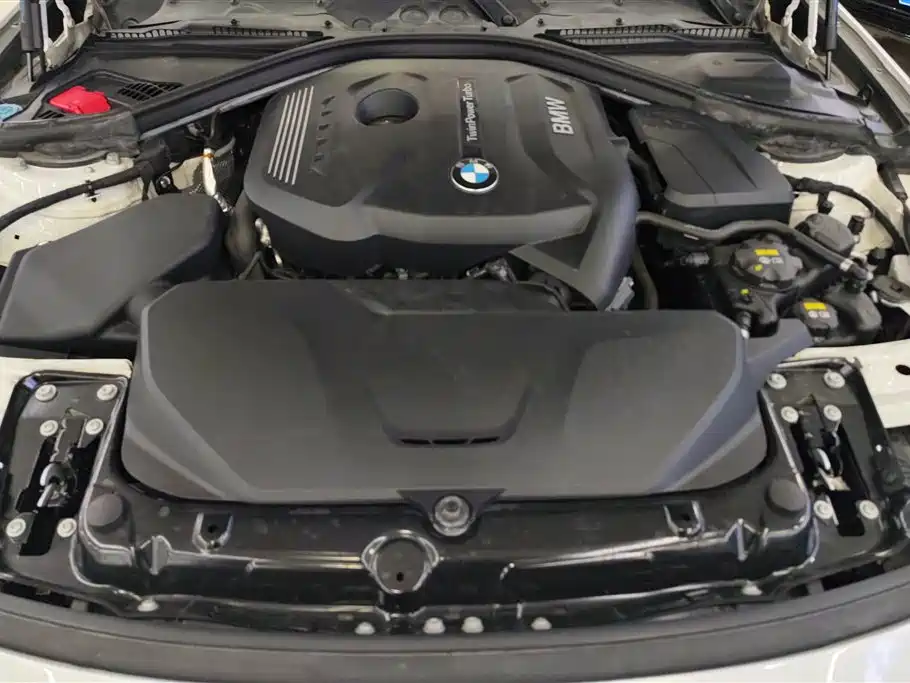 BMW 3 Series 2019 320Li Fashion Edition