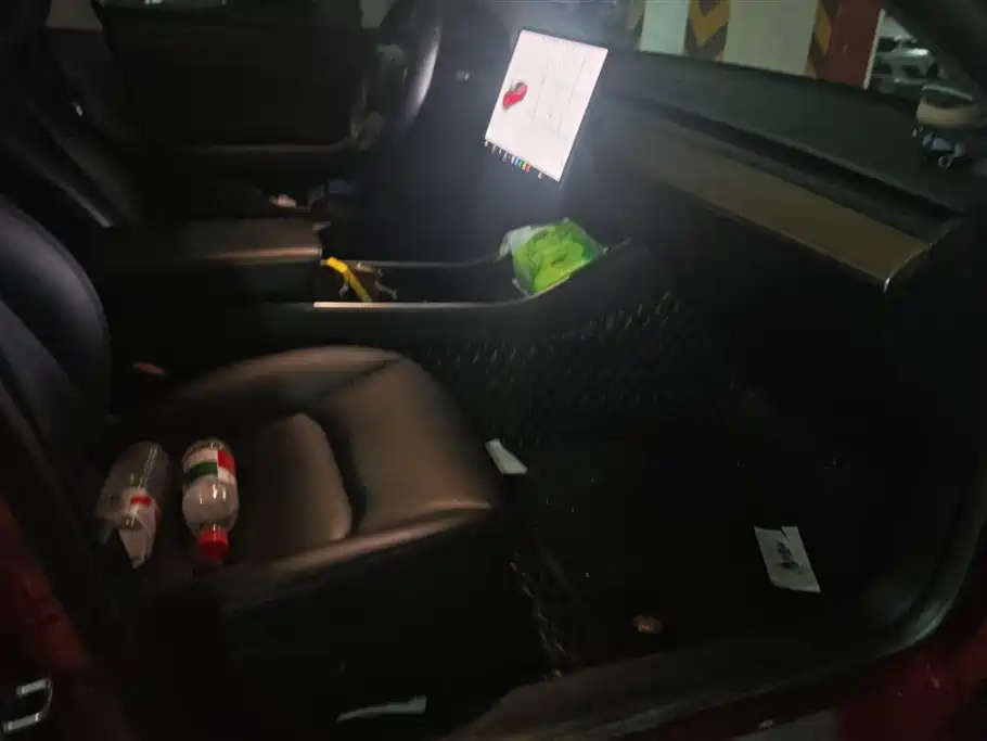 Tesla Model 3 Standard Range Plus RWD 2020