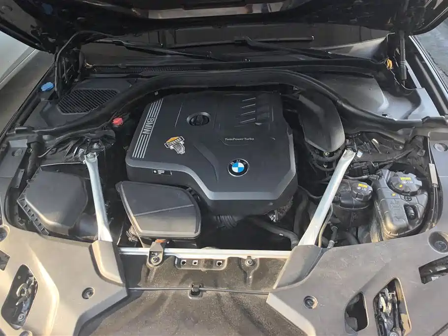 BMW 5 Series 2021 530Li xDrive Luxury Package - фото 10