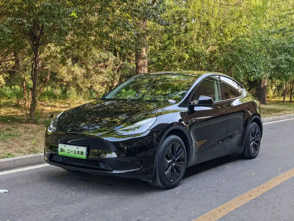 Model Y 2023 Rear-Wheel Drive