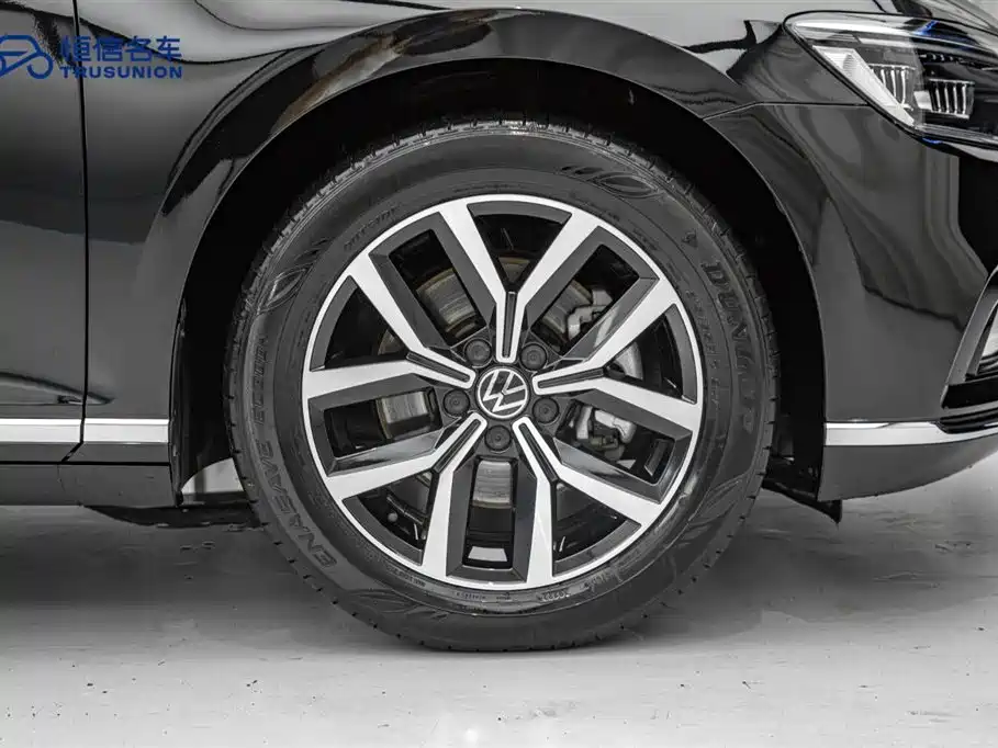 Magotan 2020 330TSI DSG Leading Edition