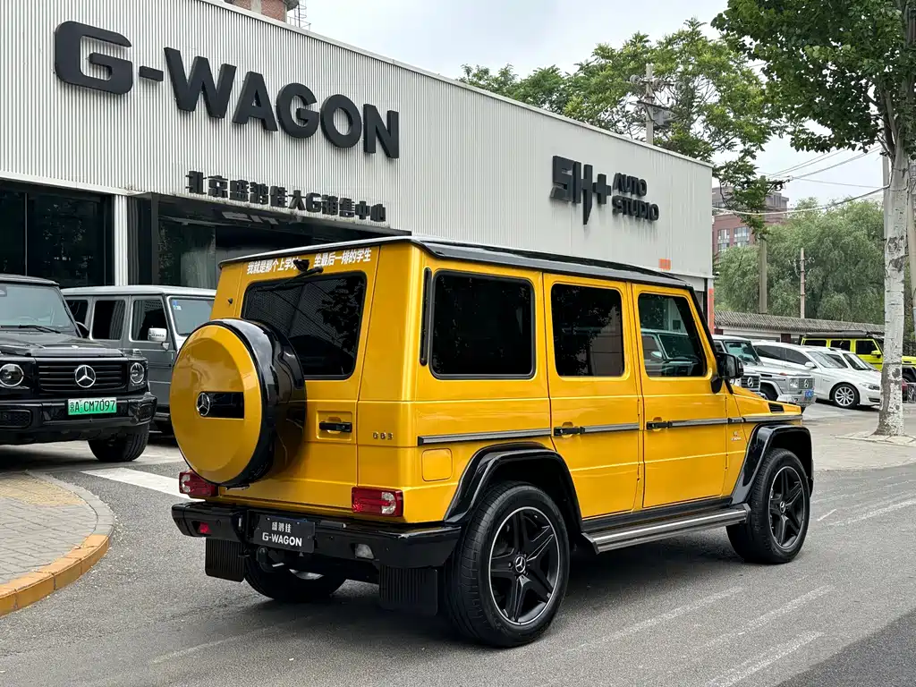 Mercedes-Benz AMG G 63 Wild Limited Edition 2015