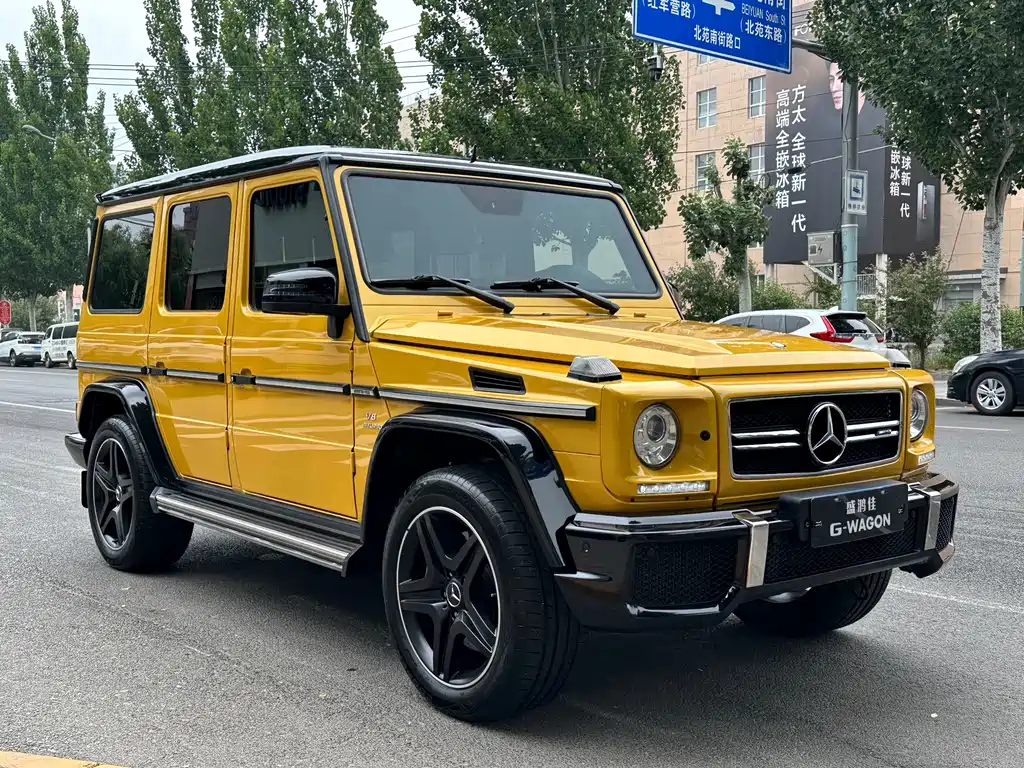 Mercedes-Benz AMG G 63 Wild Limited Edition 2015
