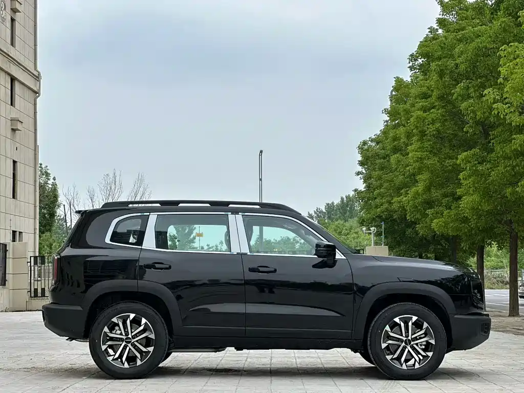 Haval Big Dog 2026 1.5T DCT Border Collie Edition