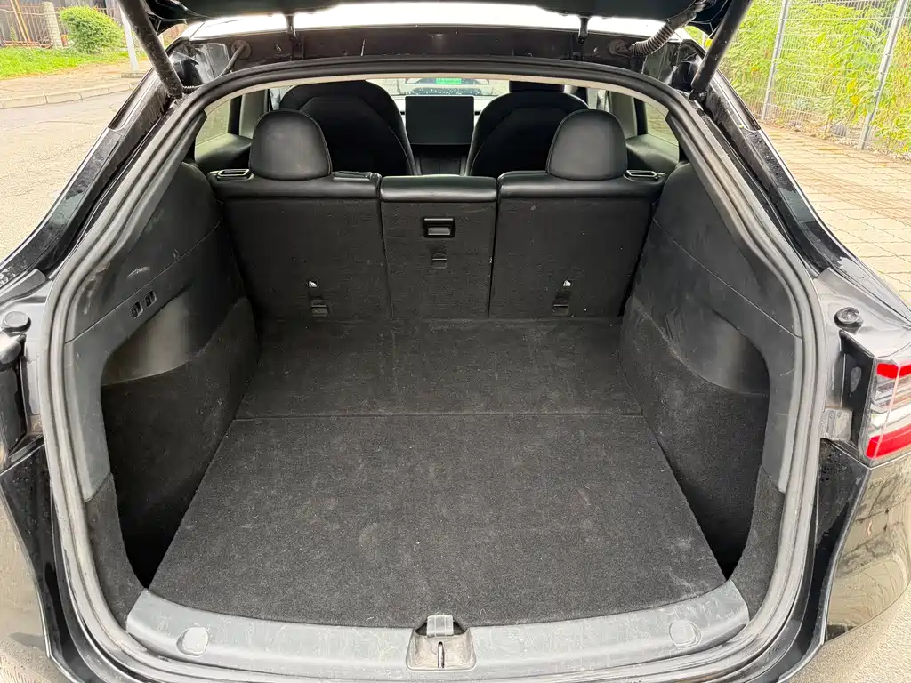 Model Y 2021 Standard Range RWD