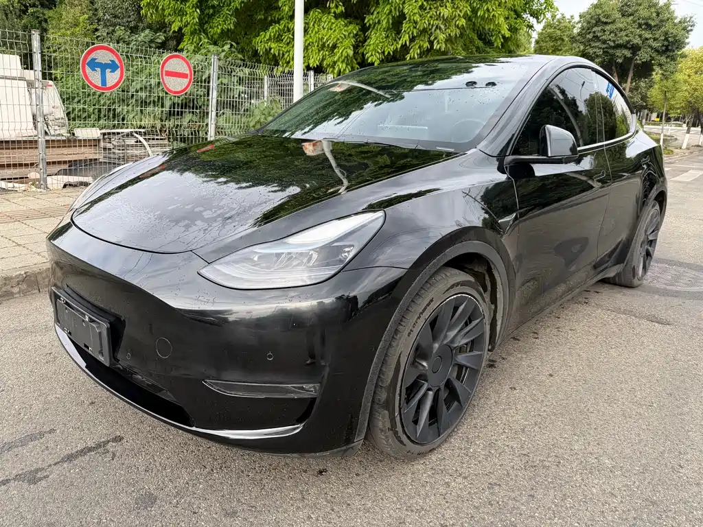 Model Y 2021 Standard Range RWD