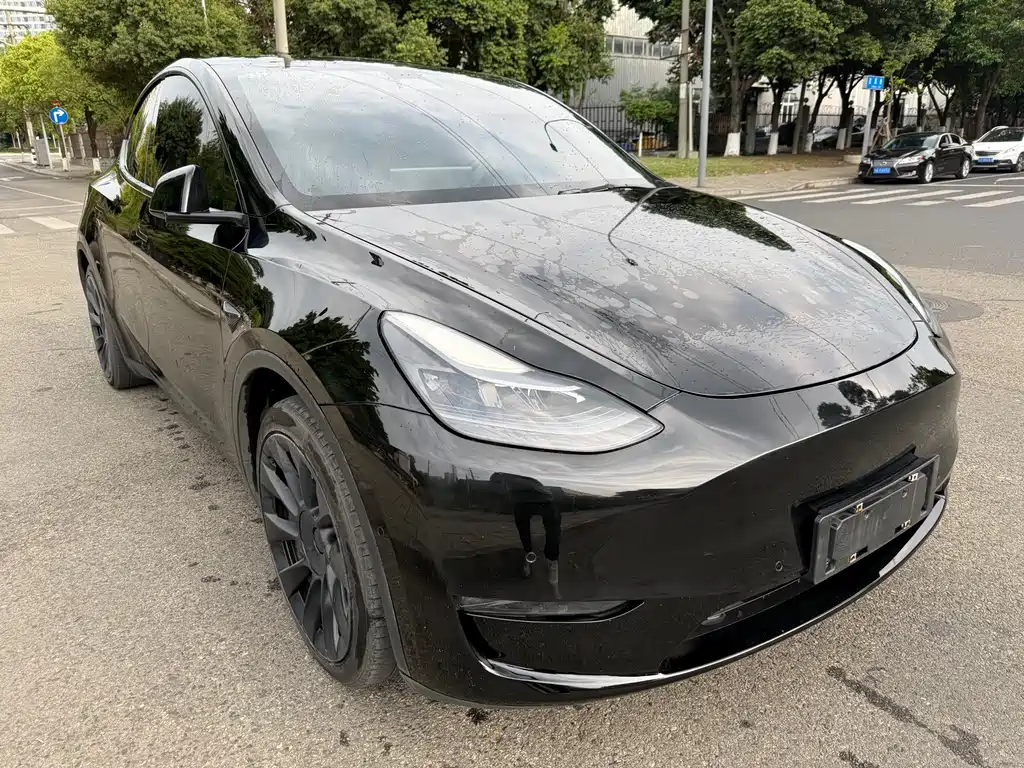 Model Y 2021 Standard Range RWD