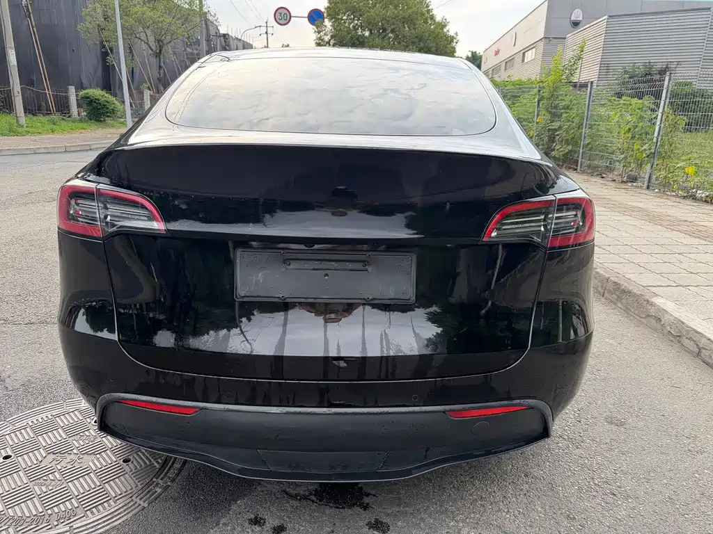 Model Y 2021 Standard Range RWD