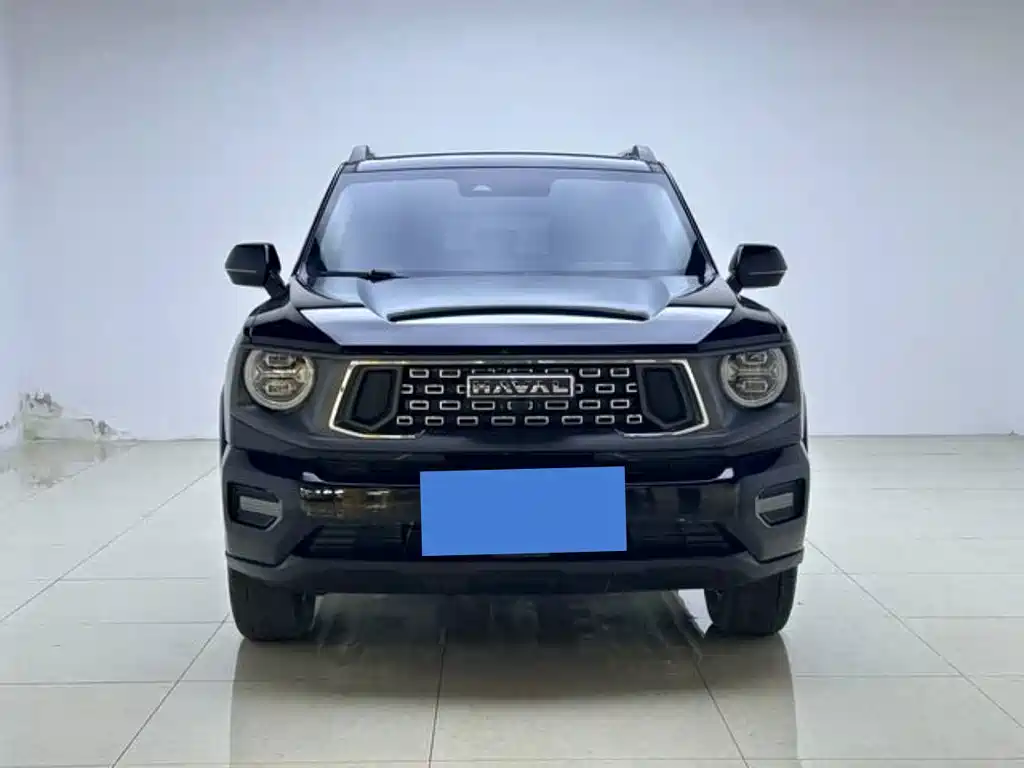 Haval Big Dog 2024 2.0T DCT Chinese Rural Dog Edition