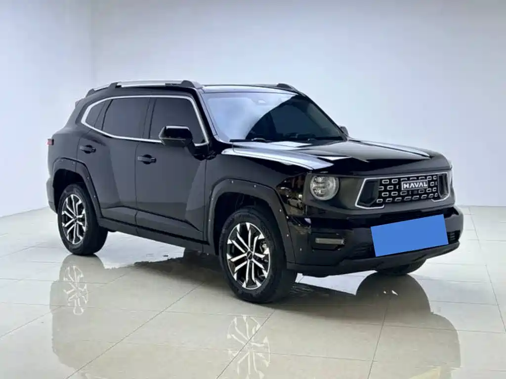 Haval Big Dog 2024 2.0T DCT Chinese Rural Dog Edition