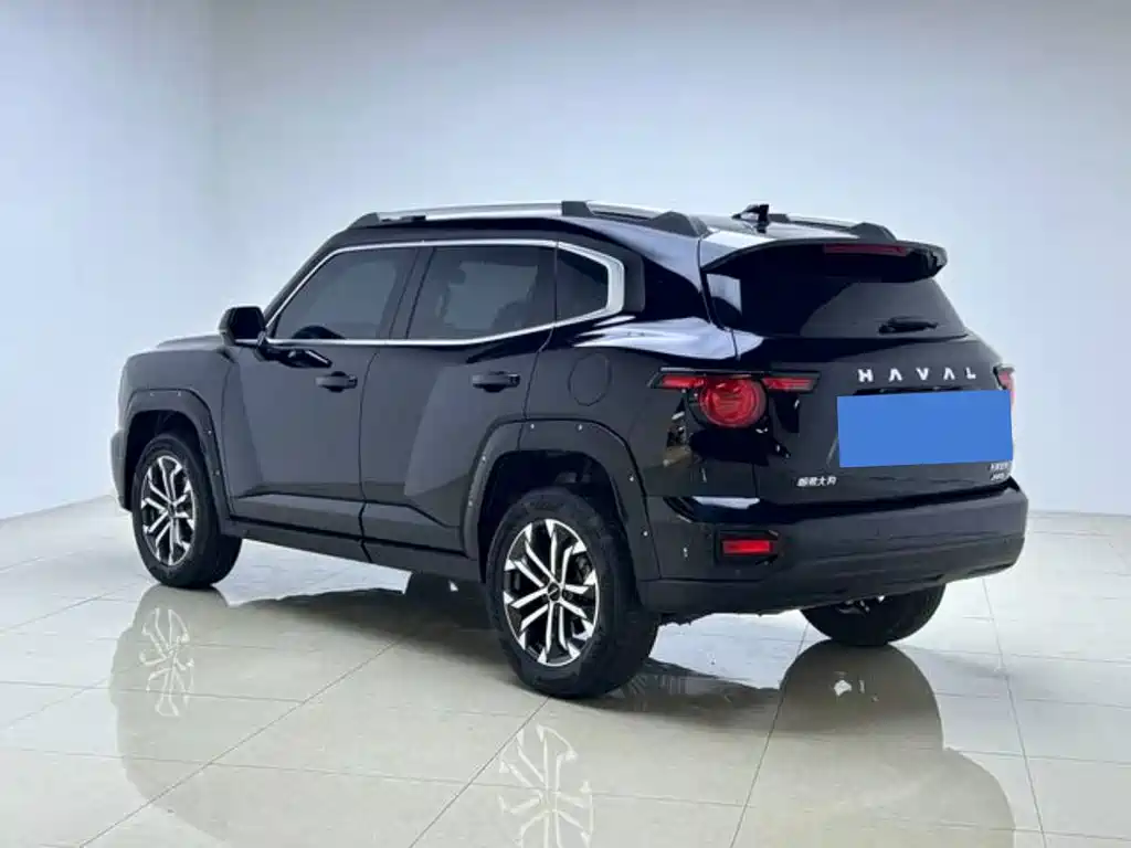 Haval Big Dog 2024 2.0T DCT Chinese Rural Dog Edition
