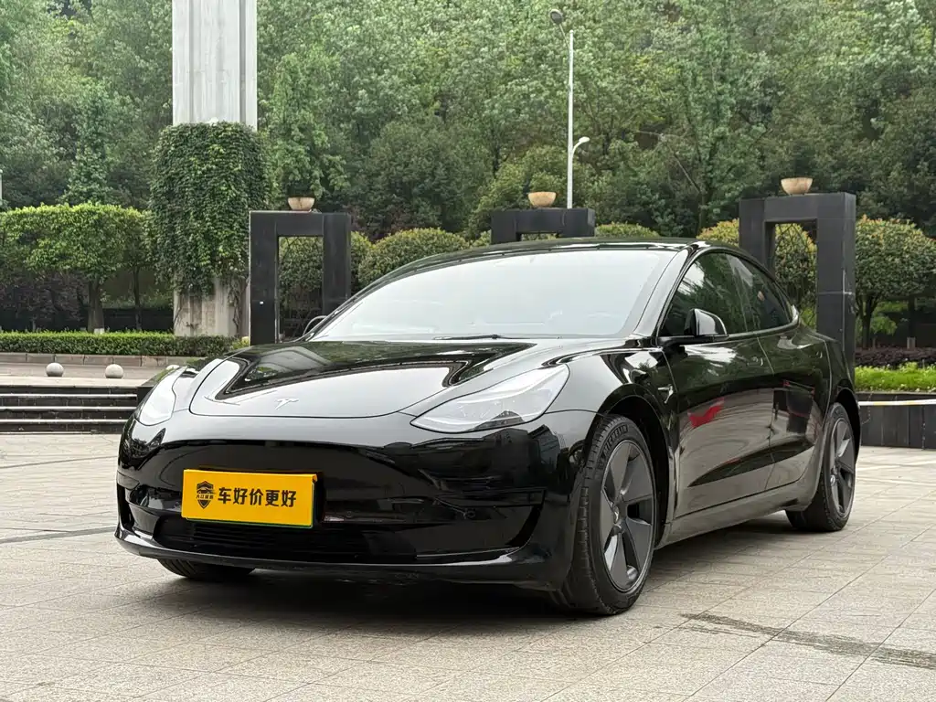 Tesla Model 3 2021 Standard Range Plus RWD