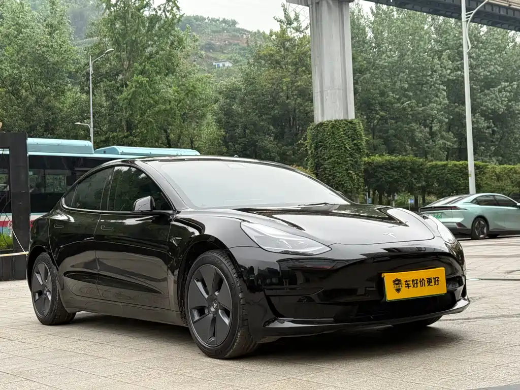 Tesla Model 3 2021 Standard Range Plus RWD
