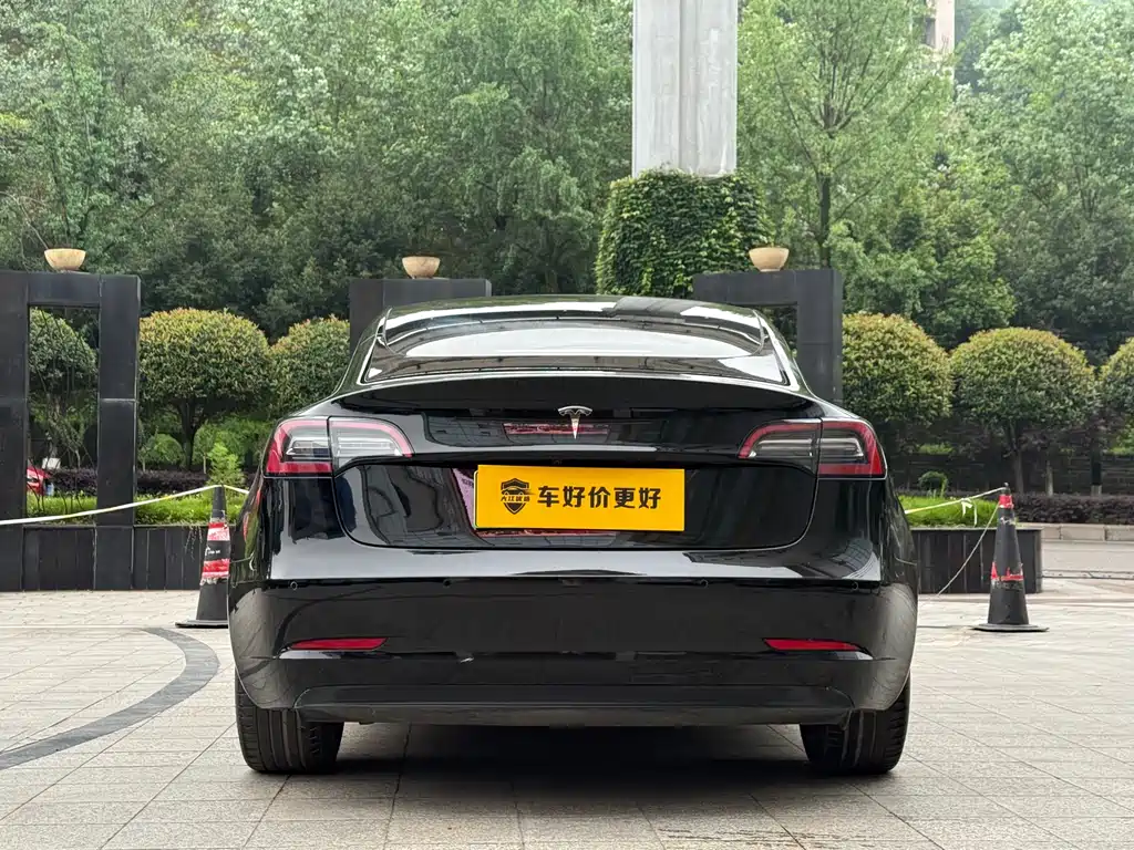 Tesla Model 3 2021 Standard Range Plus RWD