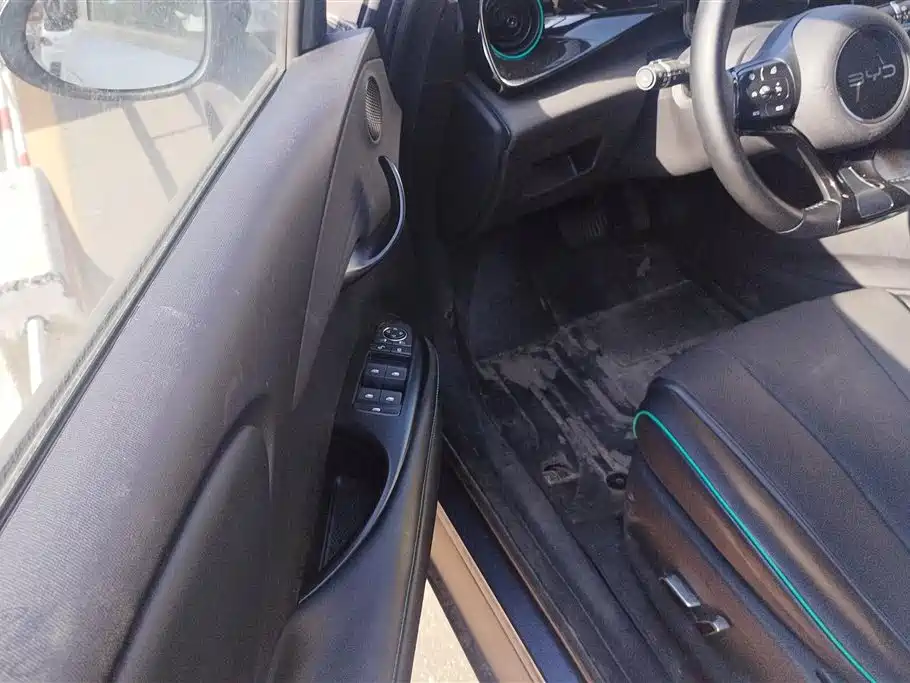 BYD Dolphin 2024 Honor Edition 420km Free Edition