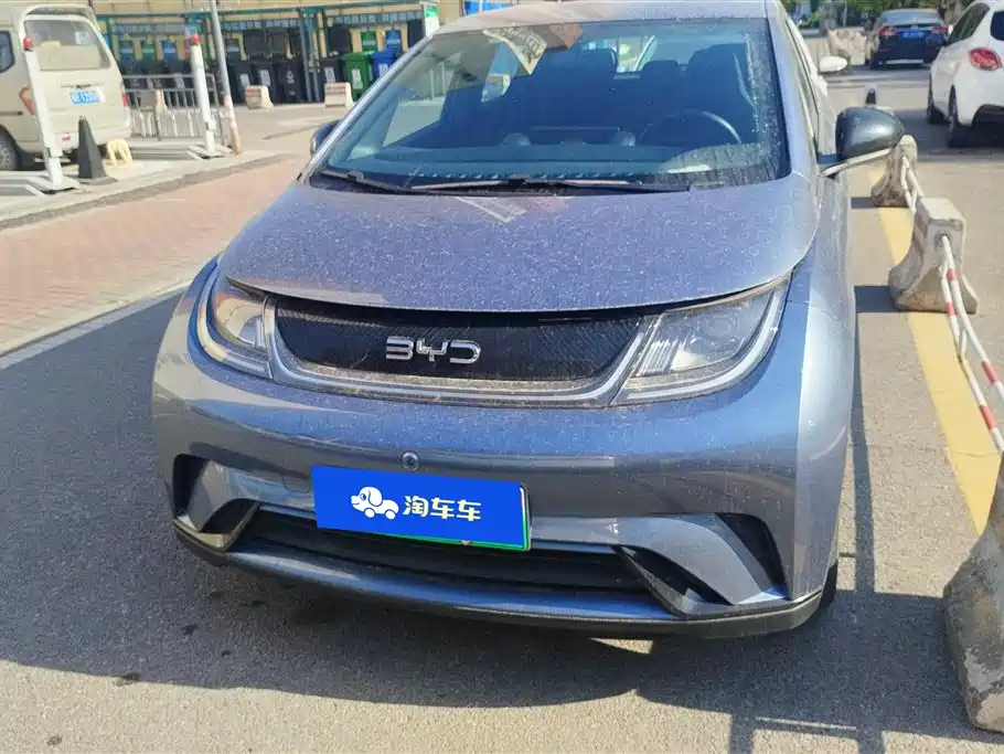 BYD Dolphin 2024 Honor Edition 420km Free Edition