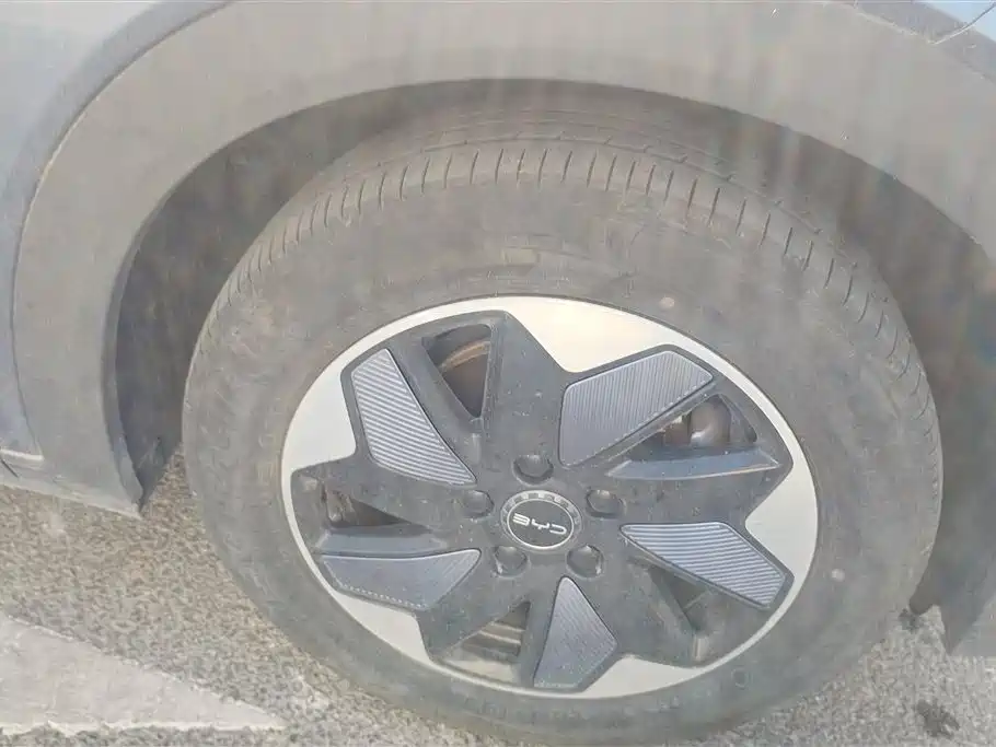 BYD Dolphin 2024 Honor Edition 420km Free Edition