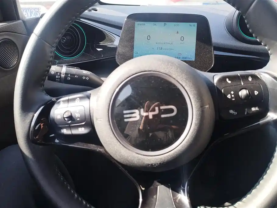BYD Dolphin 2024 Honor Edition 420km Free Edition
