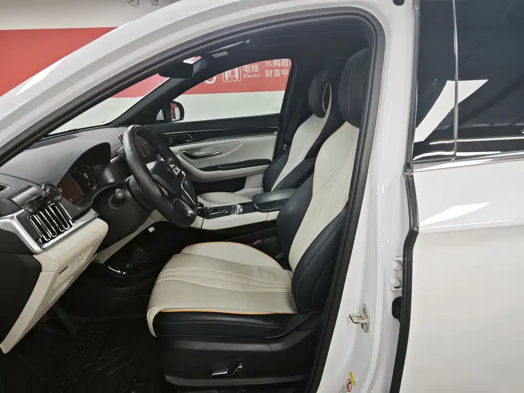 BYD Song PLUS EV 2021 Flagship
