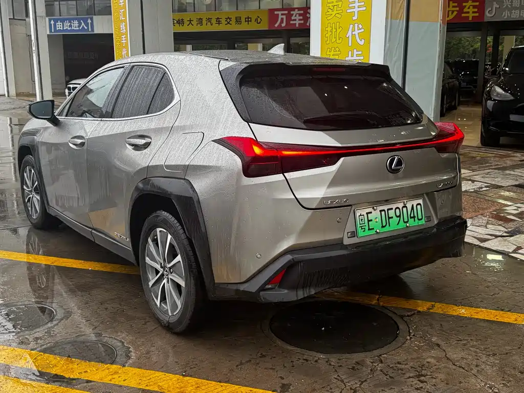 Lexus UX 300e