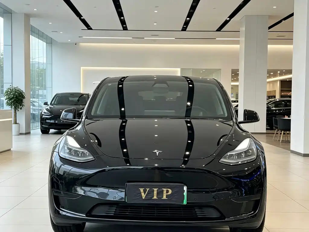Tesla Model Y 2023 Rear-Wheel Drive
