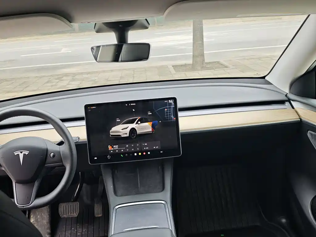 Tesla Model Y 2022 Rear-Wheel Drive