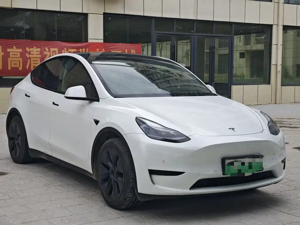 Tesla Model Y 2022 Rear-Wheel Drive