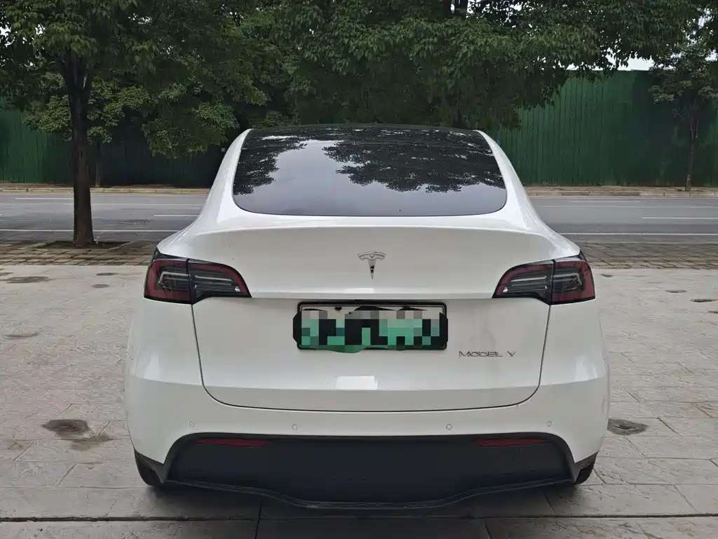Tesla Model Y 2022 Rear-Wheel Drive