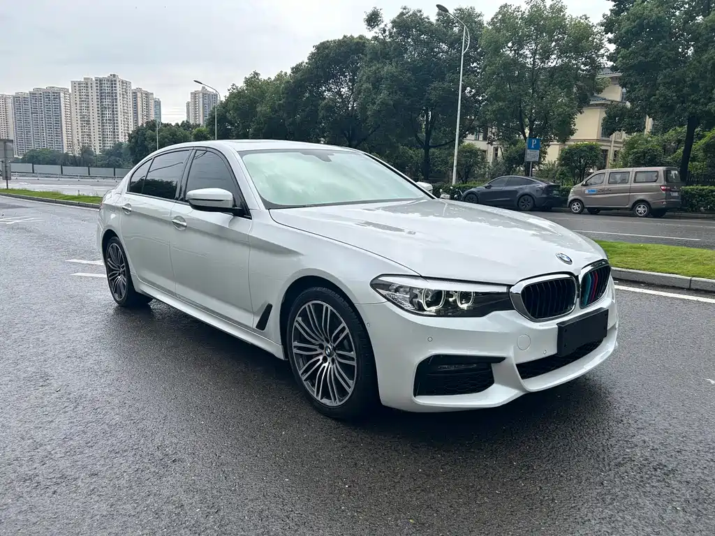 BMW 5 Series 2019 530Li xDrive M Sport Package