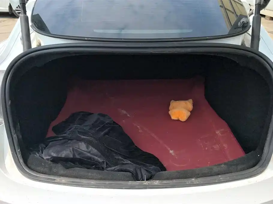 Model 3 2023 Rear-Wheel Drive