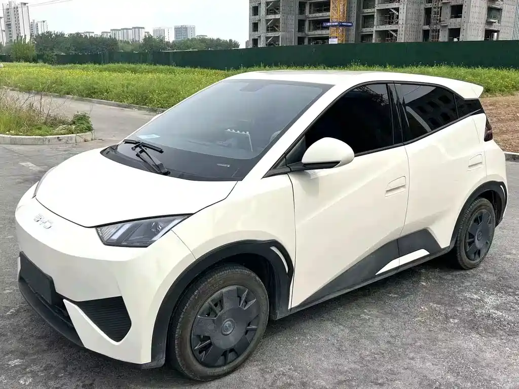 Seagull 2025 Intelligent Driving Edition 305km Vitality Edition