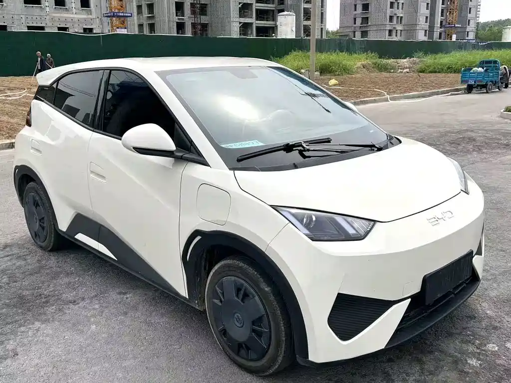 Seagull 2025 Intelligent Driving Edition 305km Vitality Edition