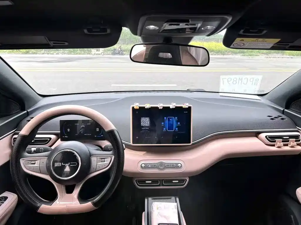 Seagull 2025 Intelligent Driving Edition 305km Vitality Edition