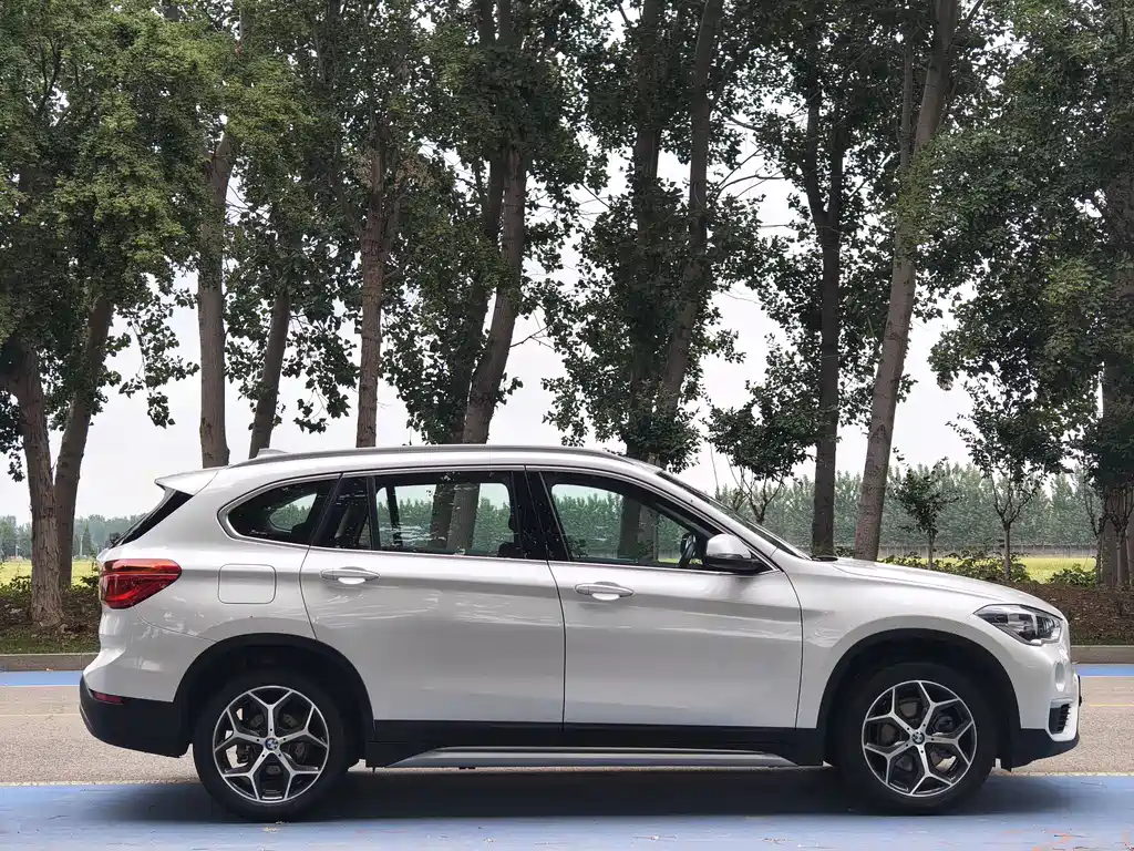 BMW X1 2019 sDrive18Li Premium Edition