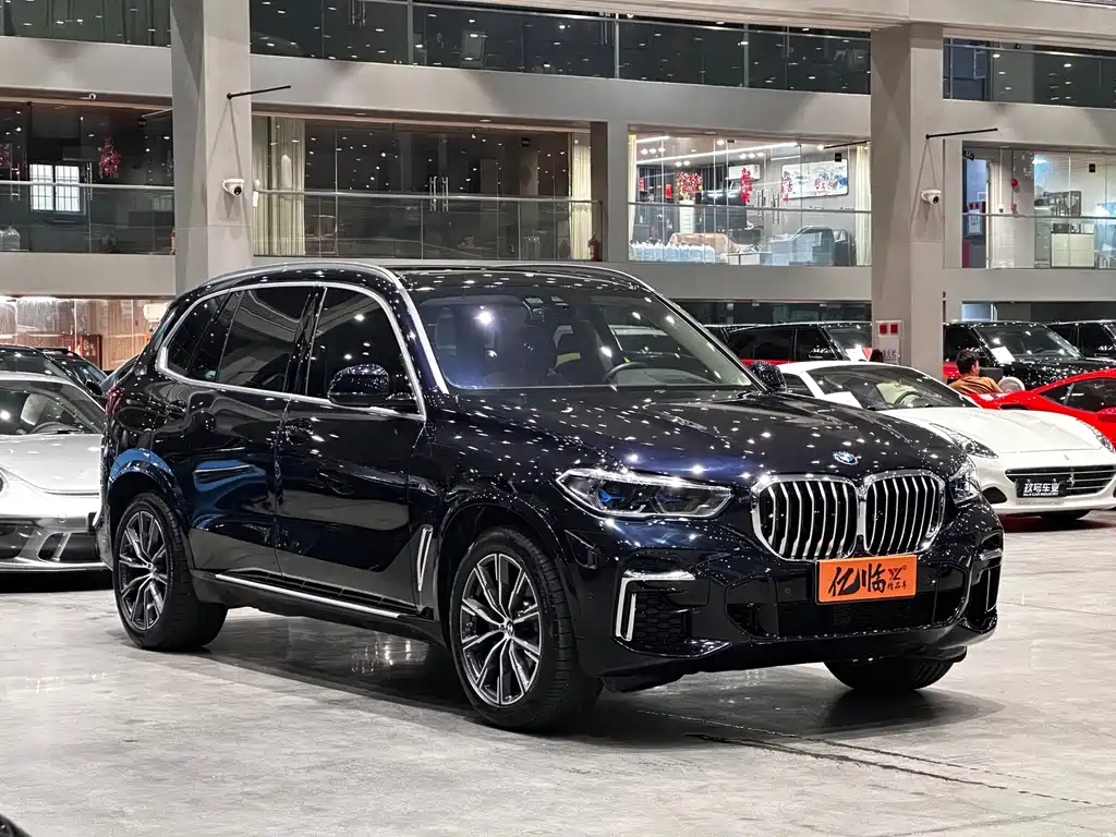 BMW X5 2022 xDrive 30Li M Sport Package - фото 2