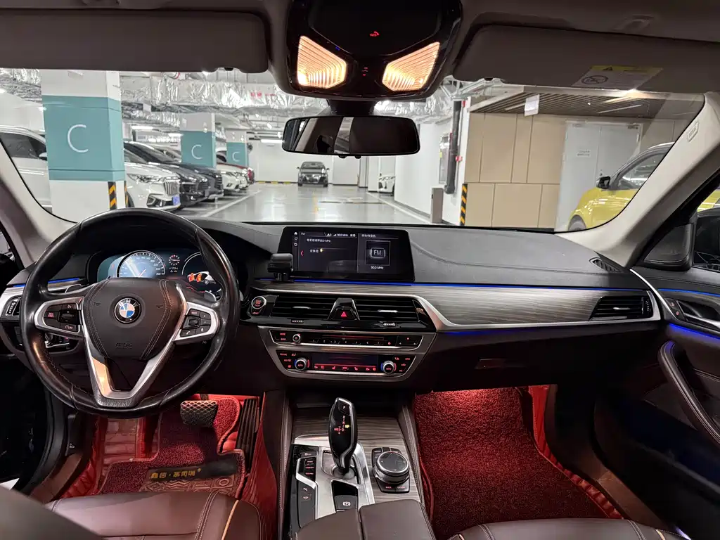 BMW 5 Series 2018 530Li Exclusive Luxury Package - фото 9