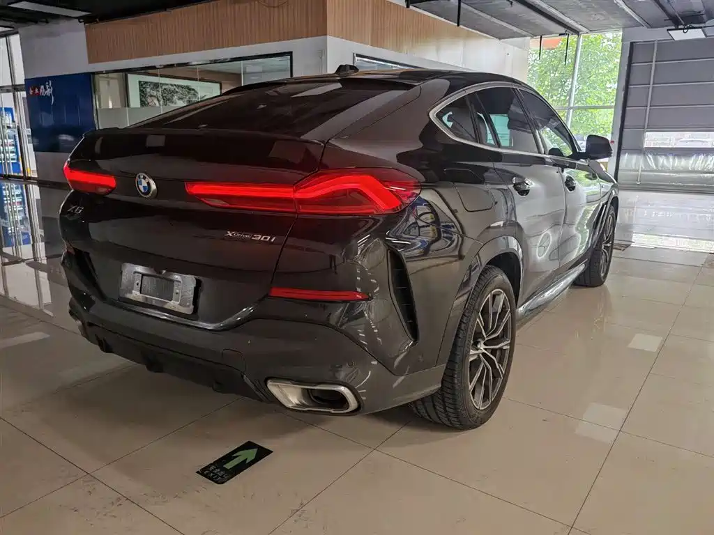 2023 BMW X6 xDrive30i M Sport Package - фото 13