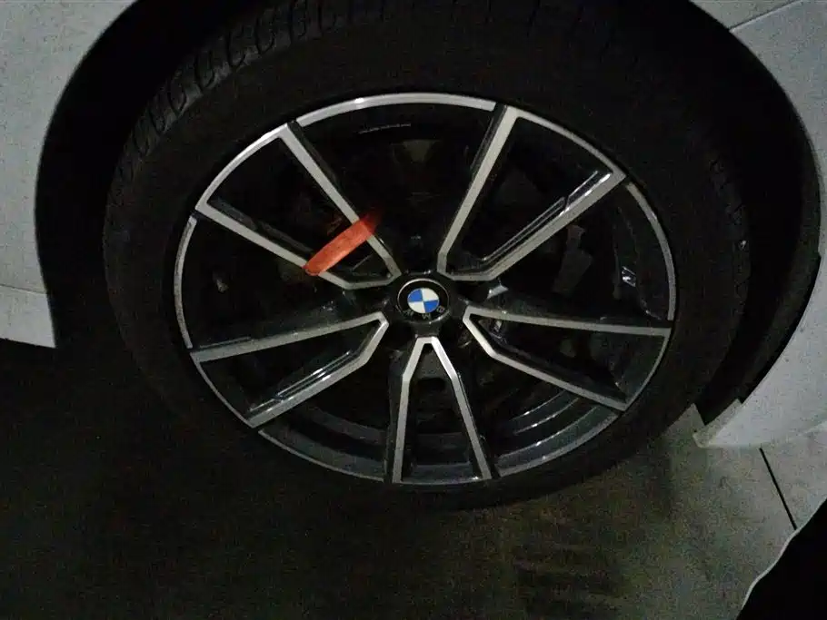 2021 BMW 3 Series 320Li M Sport Package - фото 6