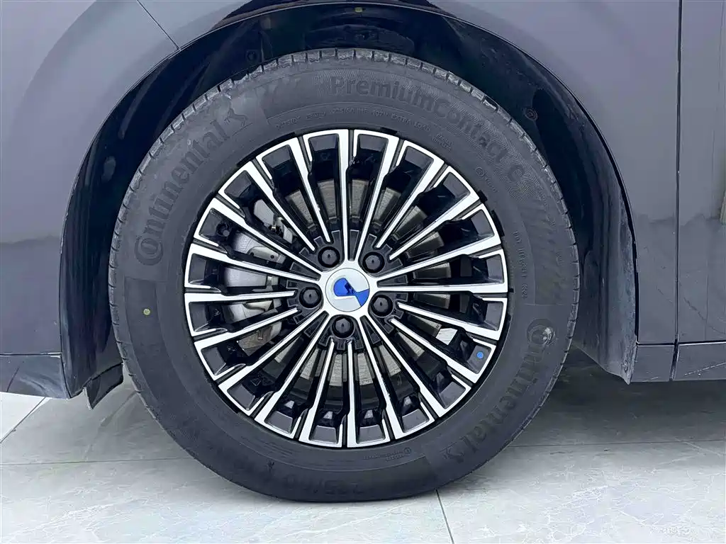 Denza D9 2024 DM-i 980 AWD Zunjong Edition