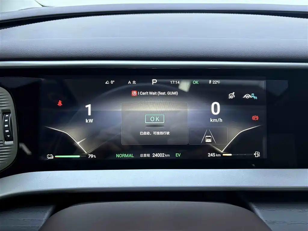 Denza D9 2024 DM-i 980 AWD Zunjong Edition