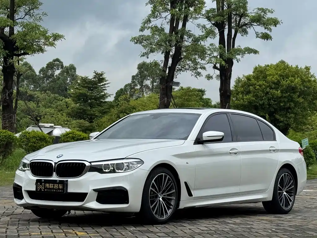 BMW 5 Series 2019 Facelift 530Li Leading Edition M Sport Package