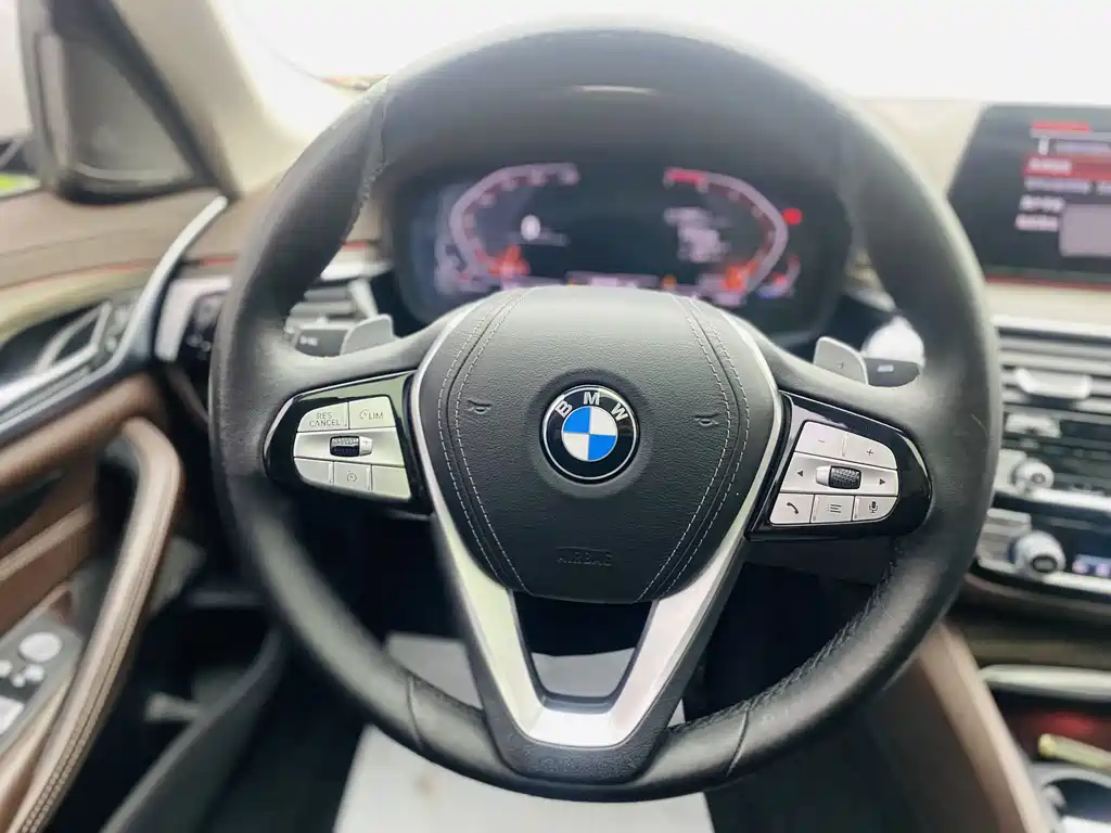 2020 BMW 5 Series 530Li Exclusive Luxury Line - фото 9