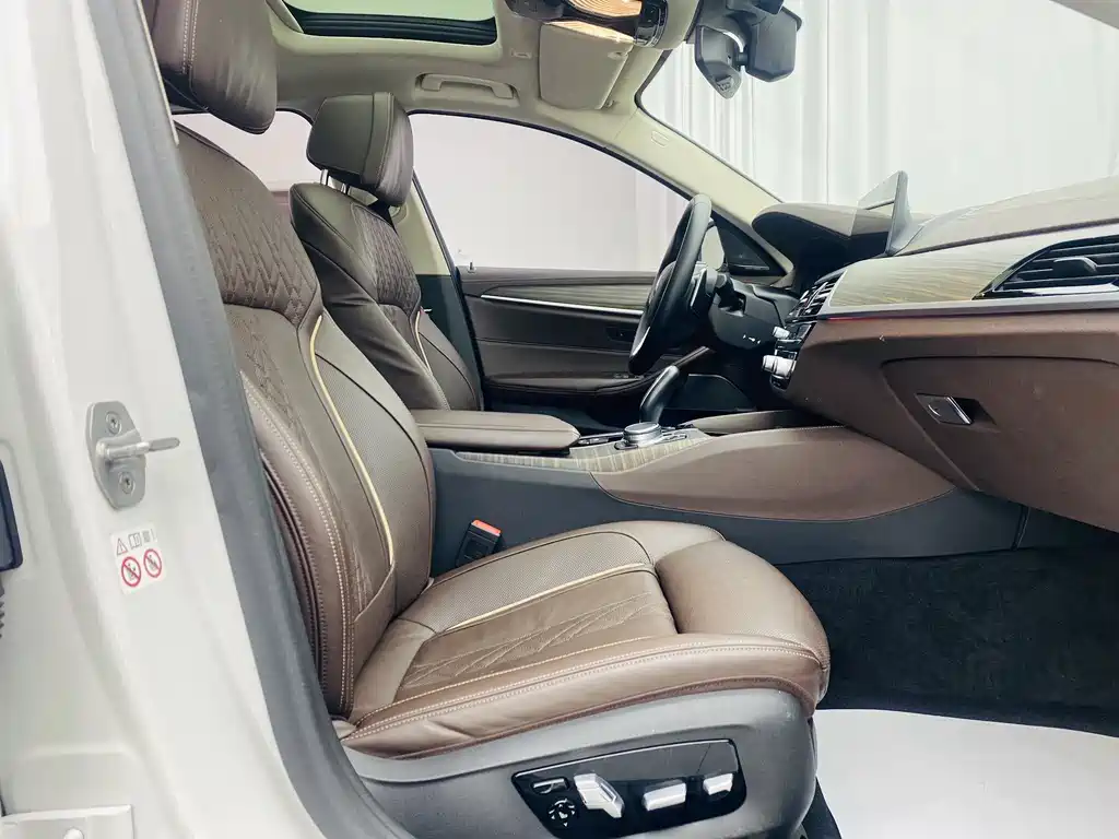 2020 BMW 5 Series 530Li Exclusive Luxury Line - фото 14