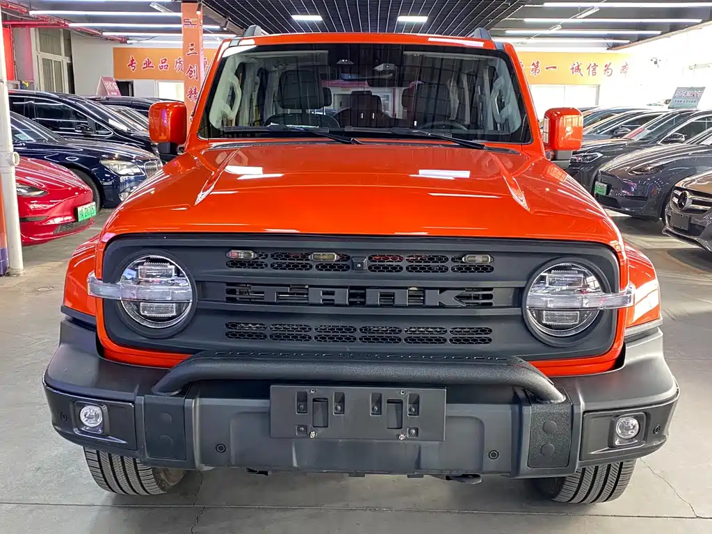 Tank 300 2023 2.0T 200,000 Units Commemorative Edition