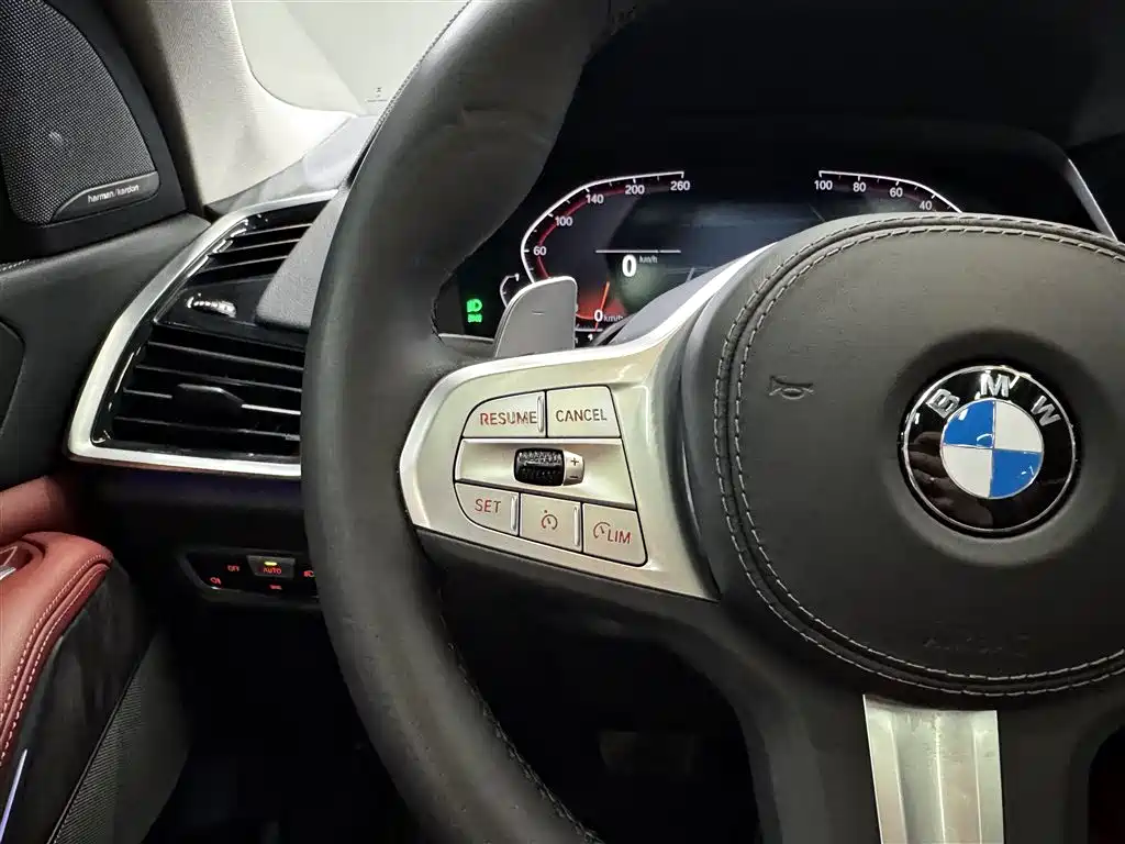 BMW X5 2022 Facelift xDrive 30Li M Sport Package - фото 27