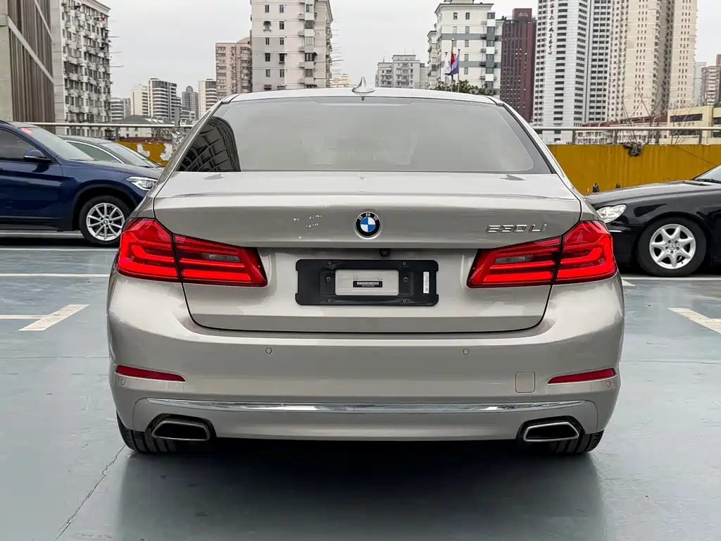 BMW 5 Series 2019 530Li Exclusive Edition Luxury Package